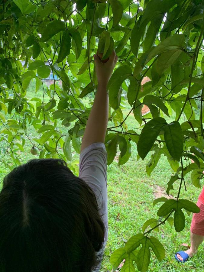 Pài Bjooc homestay Tuyen Quang Extérieur photo