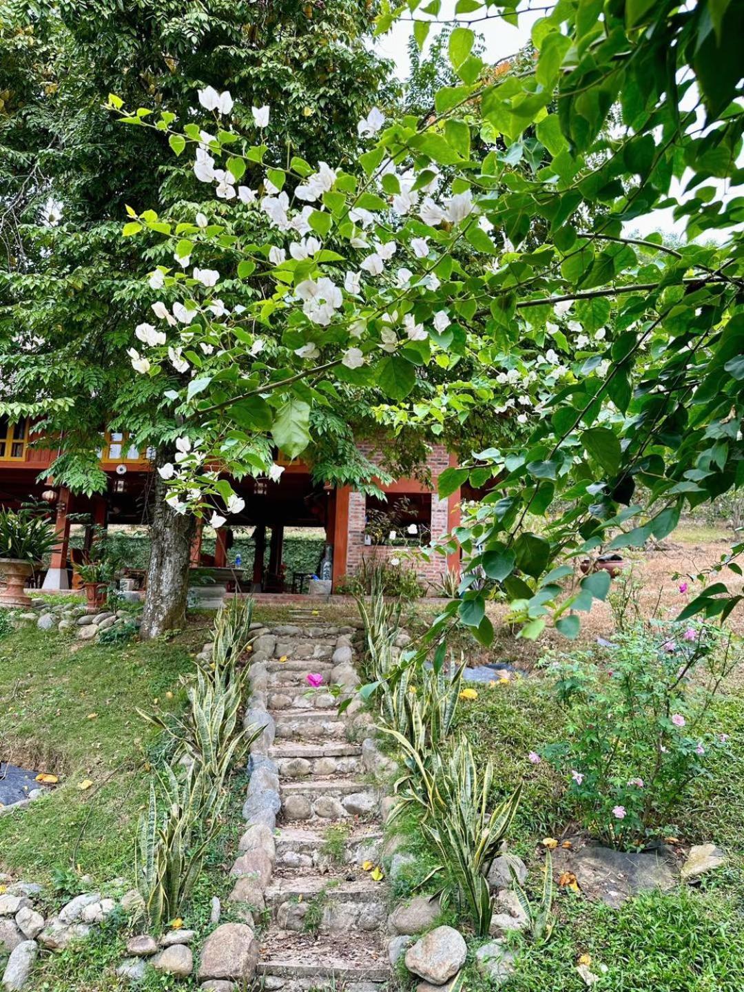 Pài Bjooc homestay Tuyen Quang Extérieur photo
