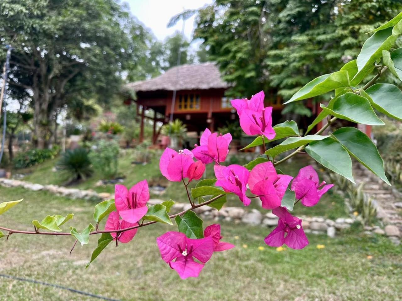 Pài Bjooc homestay Tuyen Quang Extérieur photo